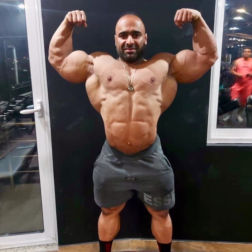 Morteza Mashayekh 
