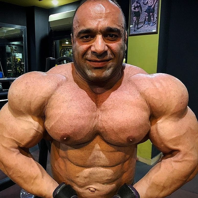 Morteza Mashayekh