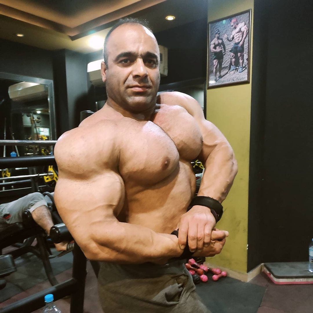 Morteza Mashayekh