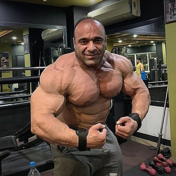 Morteza Mashayekh