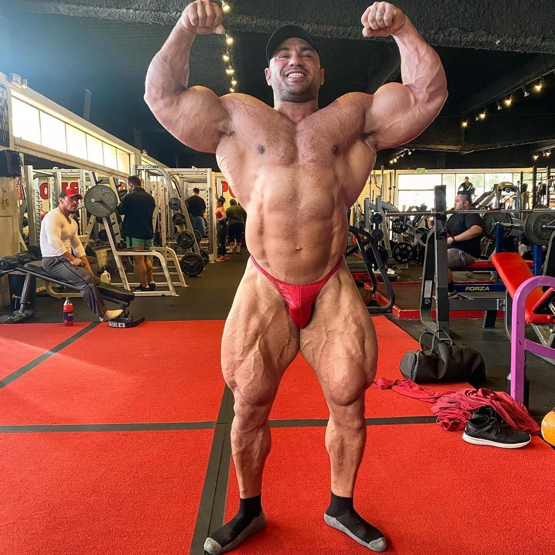 Mohamed Shaaban
