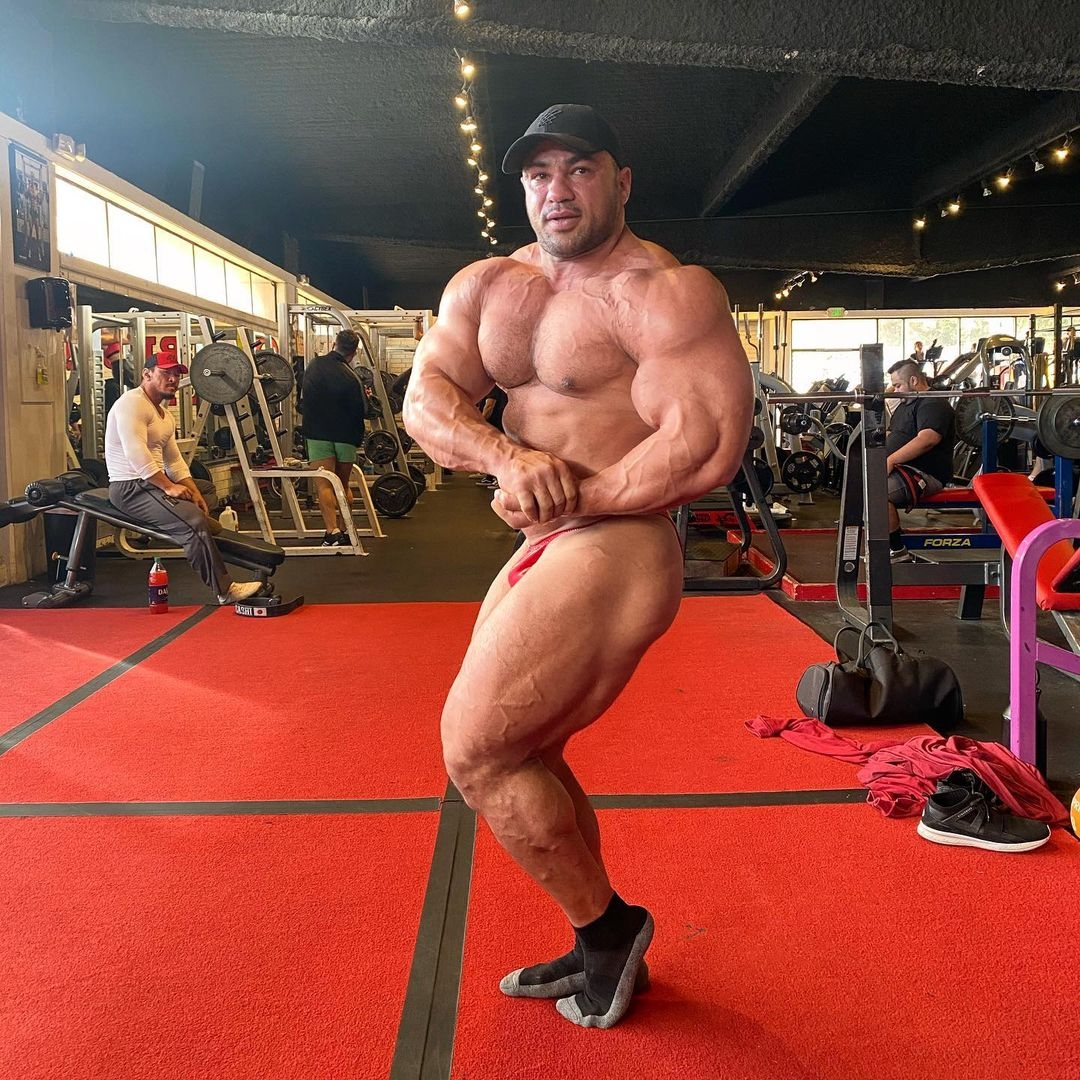 Mohamed Shaaban