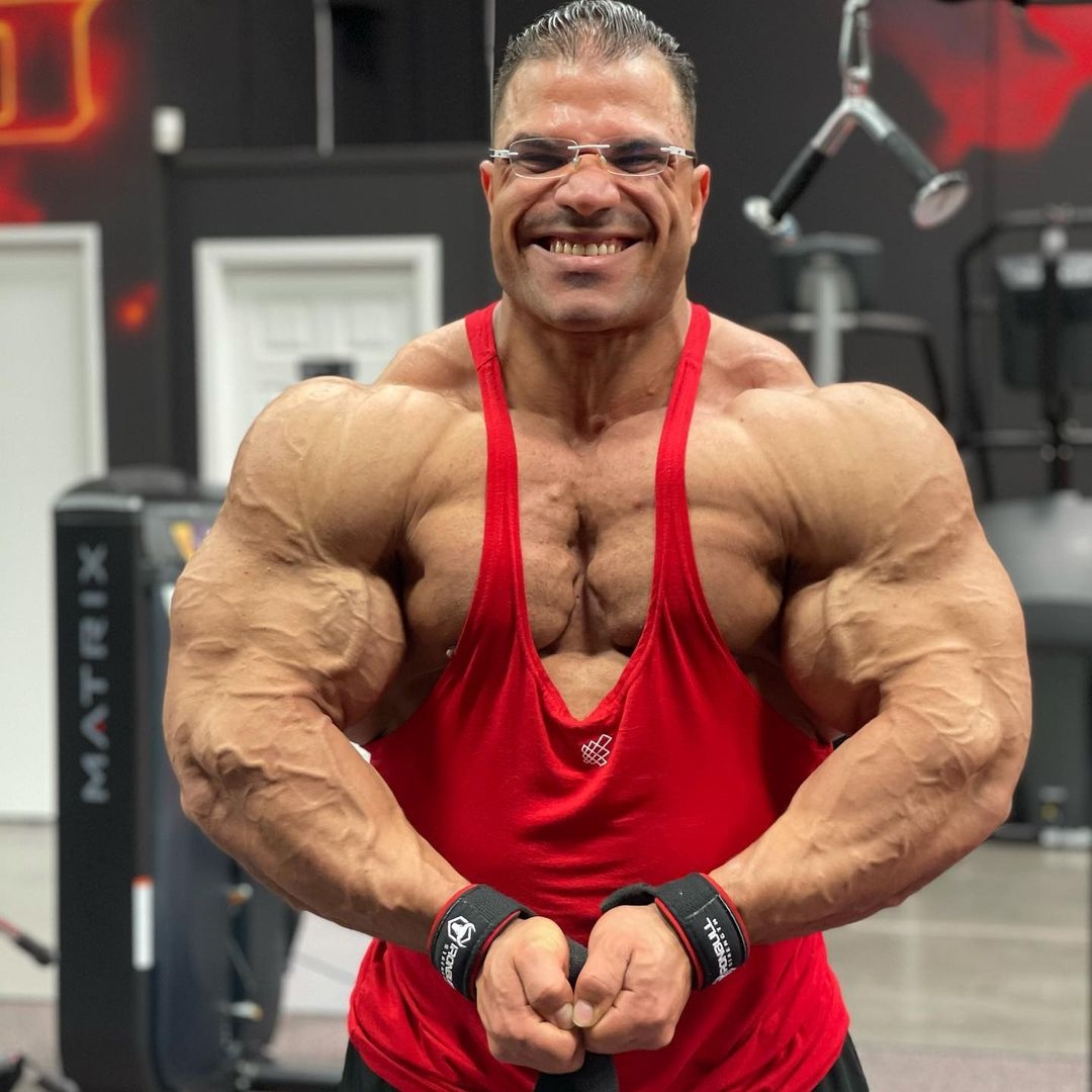 Hassan Mostafa�