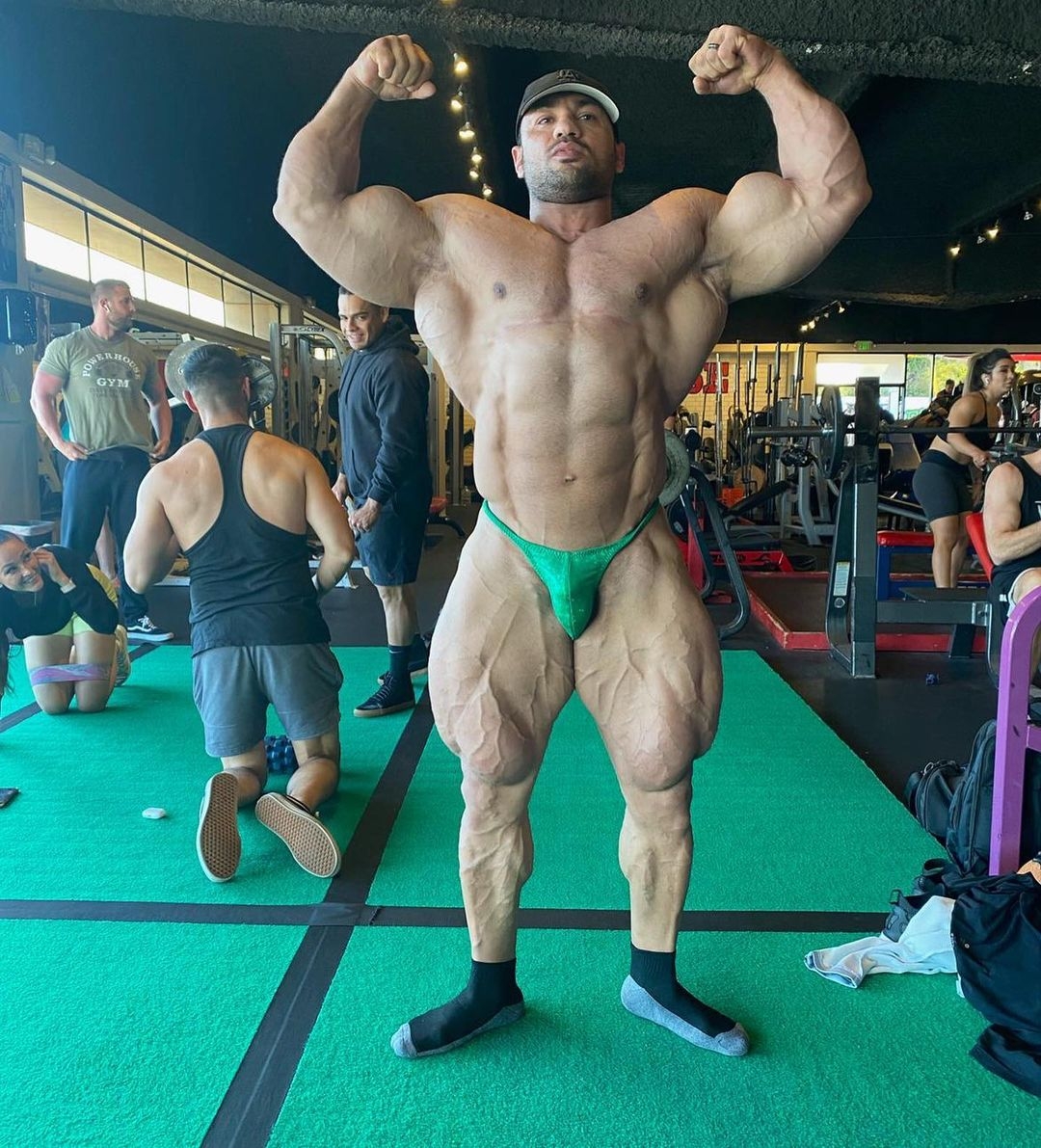 Mohamed Shaaban