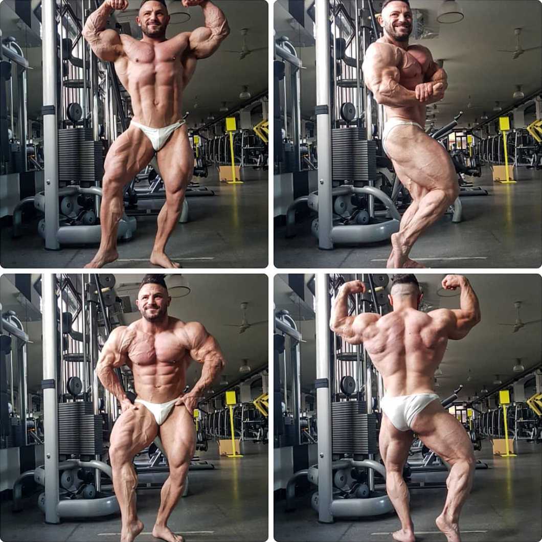 Daniel Sticco�