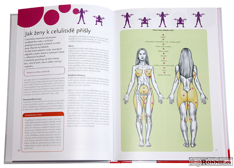 Fitness pro �eny - anatomie