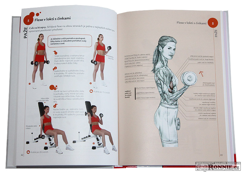 Fitness pro �eny - anatomie