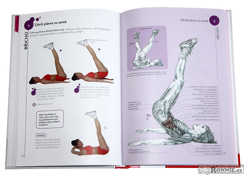 Fitness pro �eny - anatomie