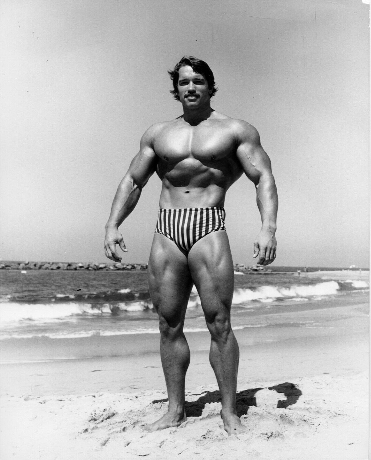 Arnold Schwarzenegger