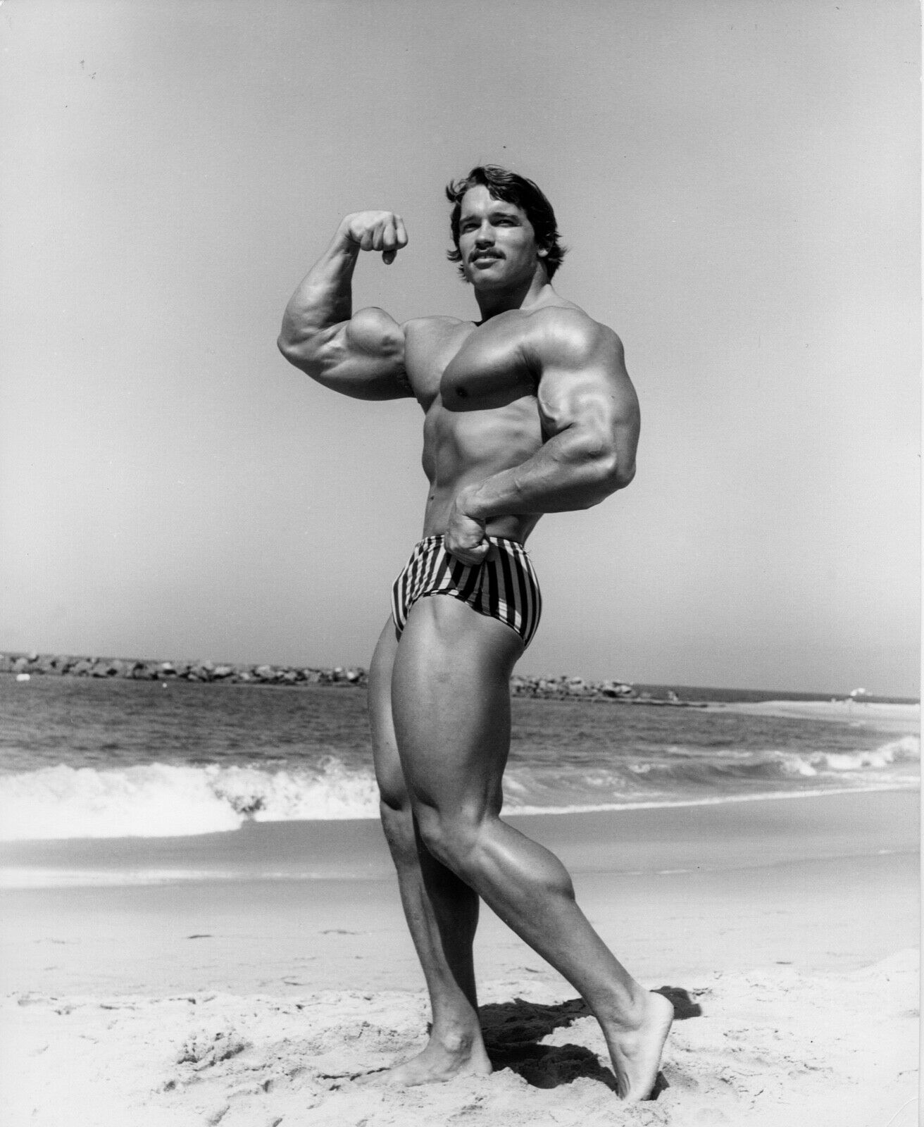 Arnold Schwarzenegger