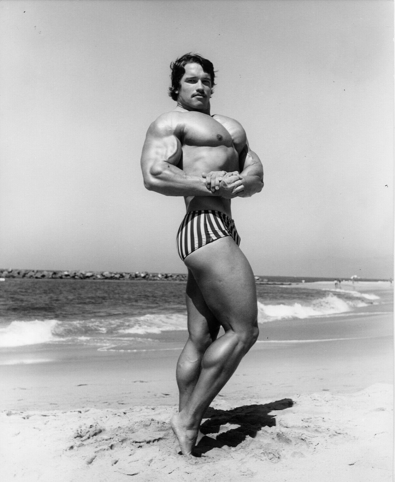 Arnold Schwarzenegger