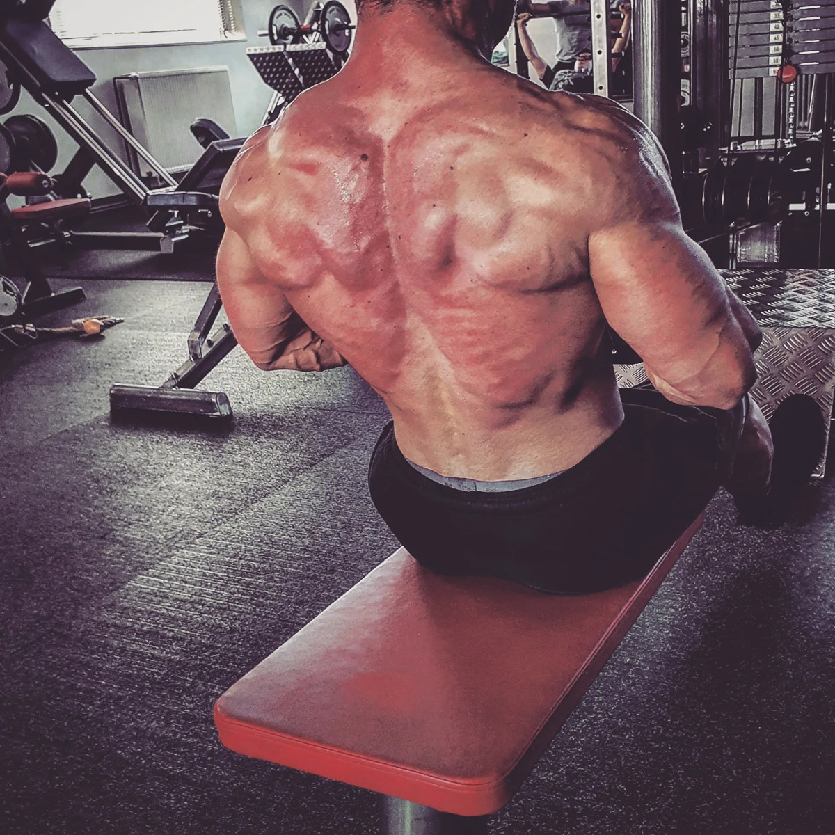 Luk� �erven� p�i tr�ninku 1,5 t�dne p�ed Arnold Classic Europe 2021