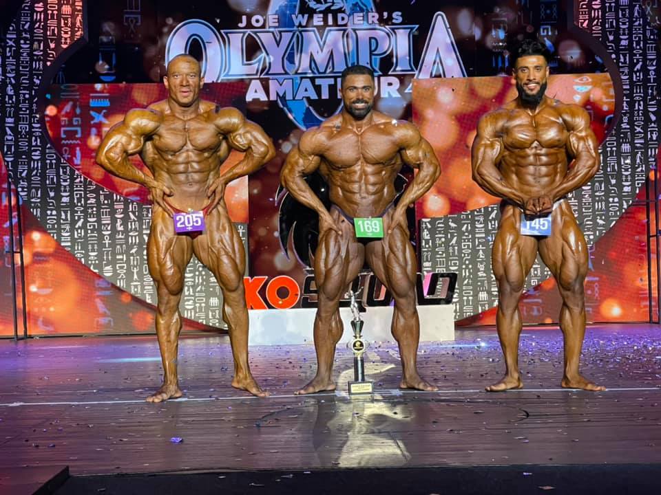 Ossama Ashour, Mahmoud Negm, Wael Mohamed Amin�