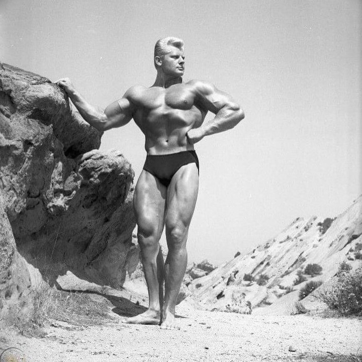 Dave Draper