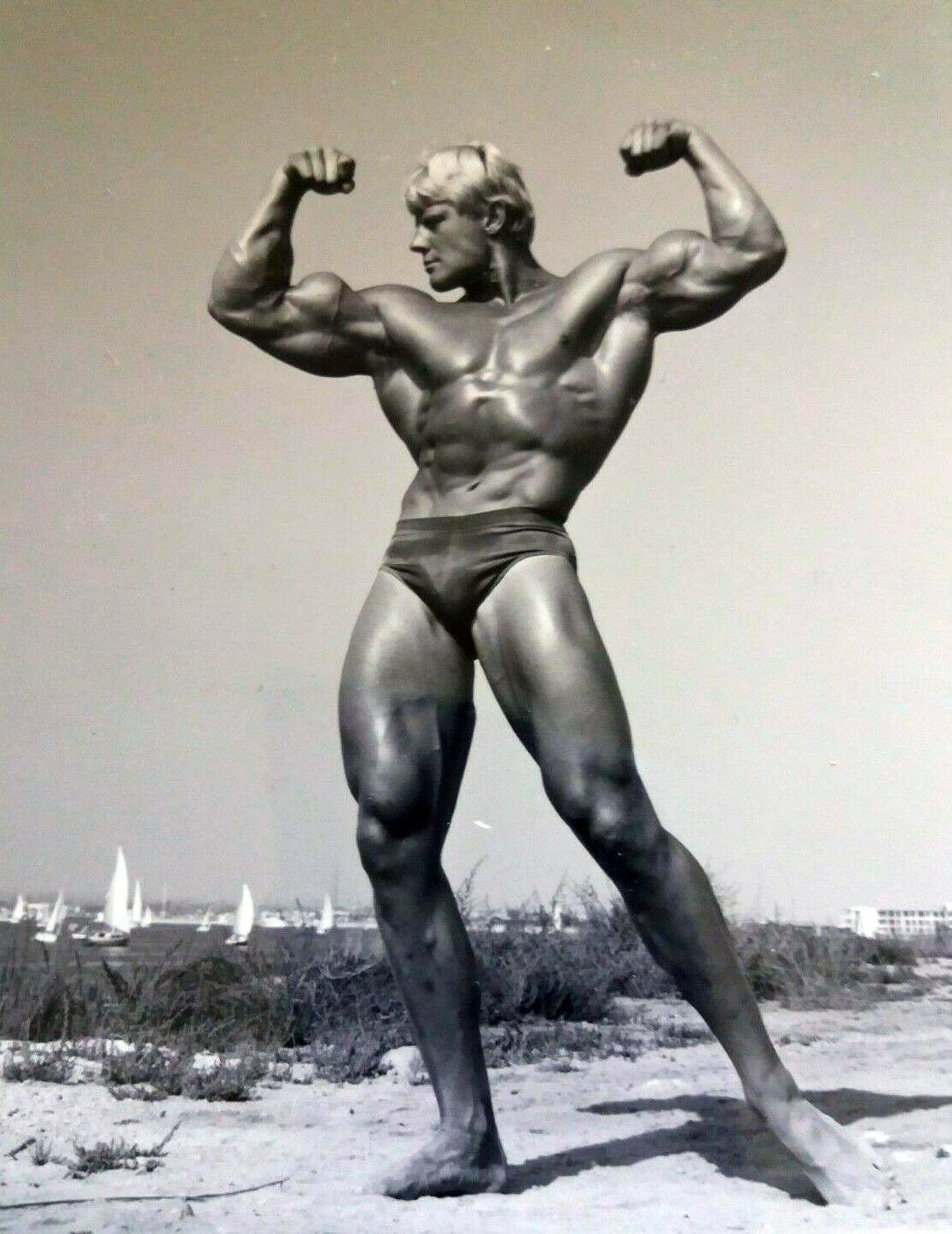 Dave Draper