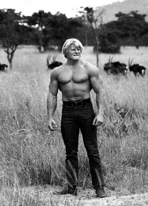 Dave Draper