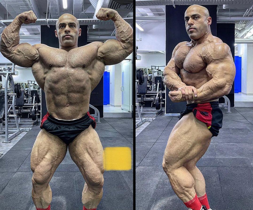 Nasser Sayed