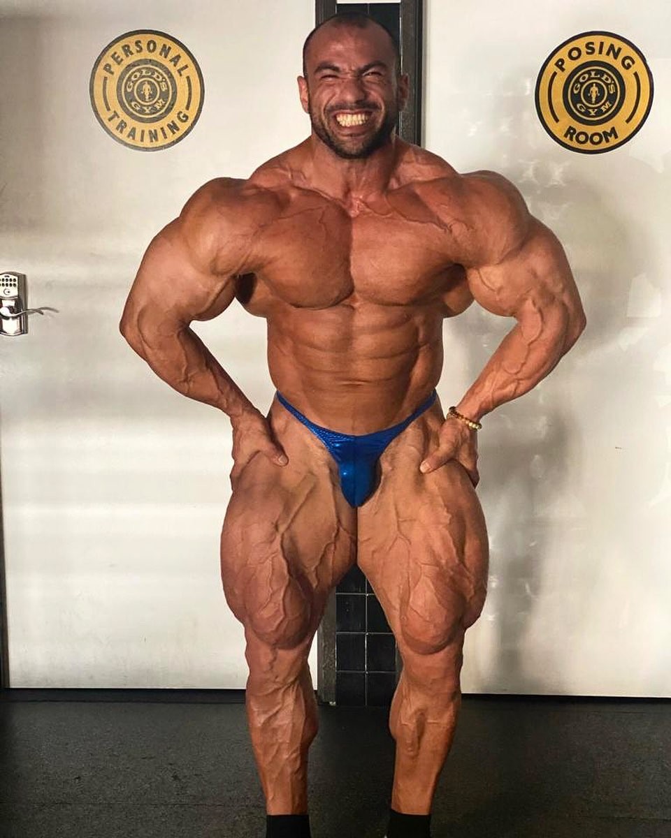 Mohamed Shaaban