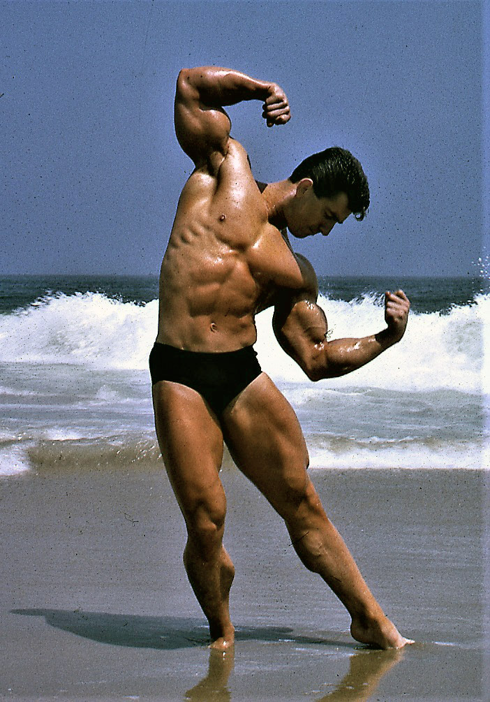Bob Gajda