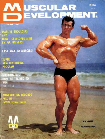 Bob Gajda