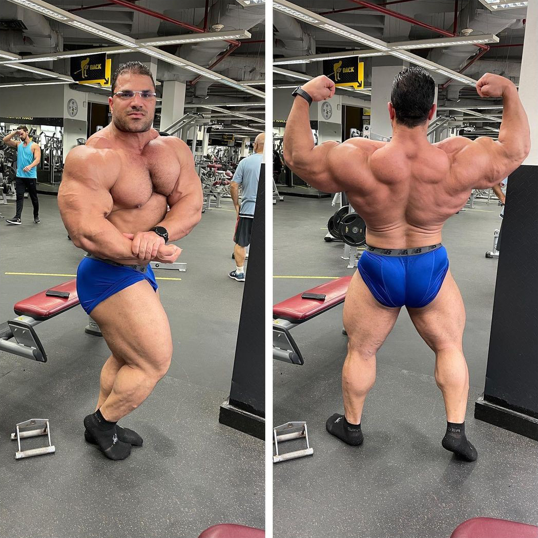 Hassan Mostafa