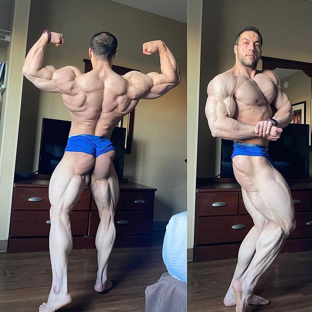 Michael Daboul�