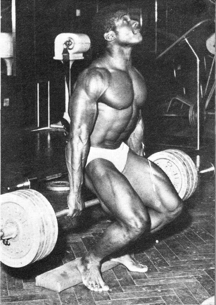 Wilf Sylvester
