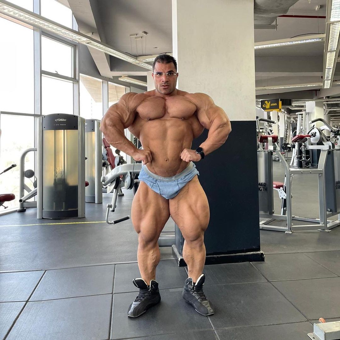 Hassan Mostafa