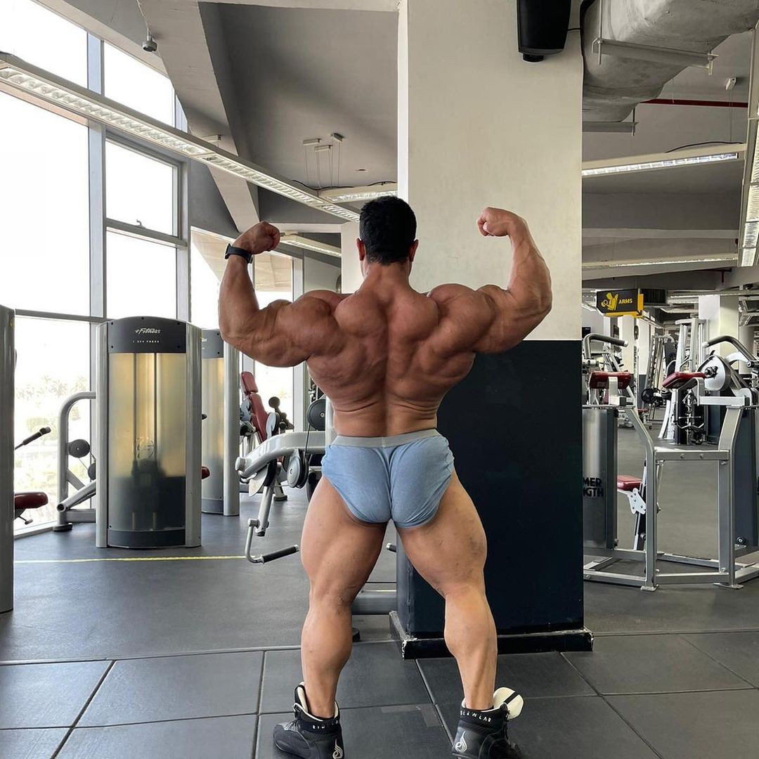 Hassan Mostafa