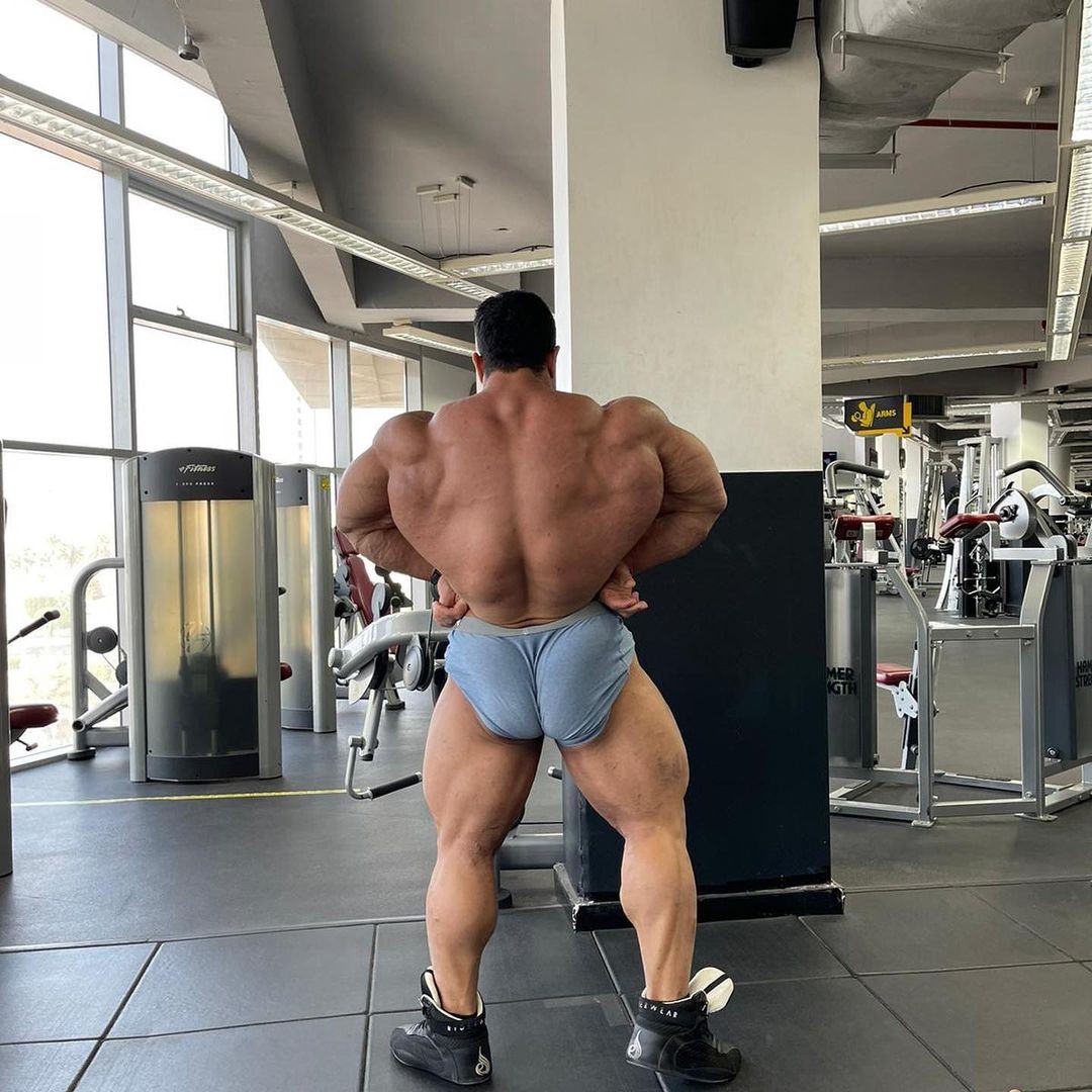 Hassan Mostafa