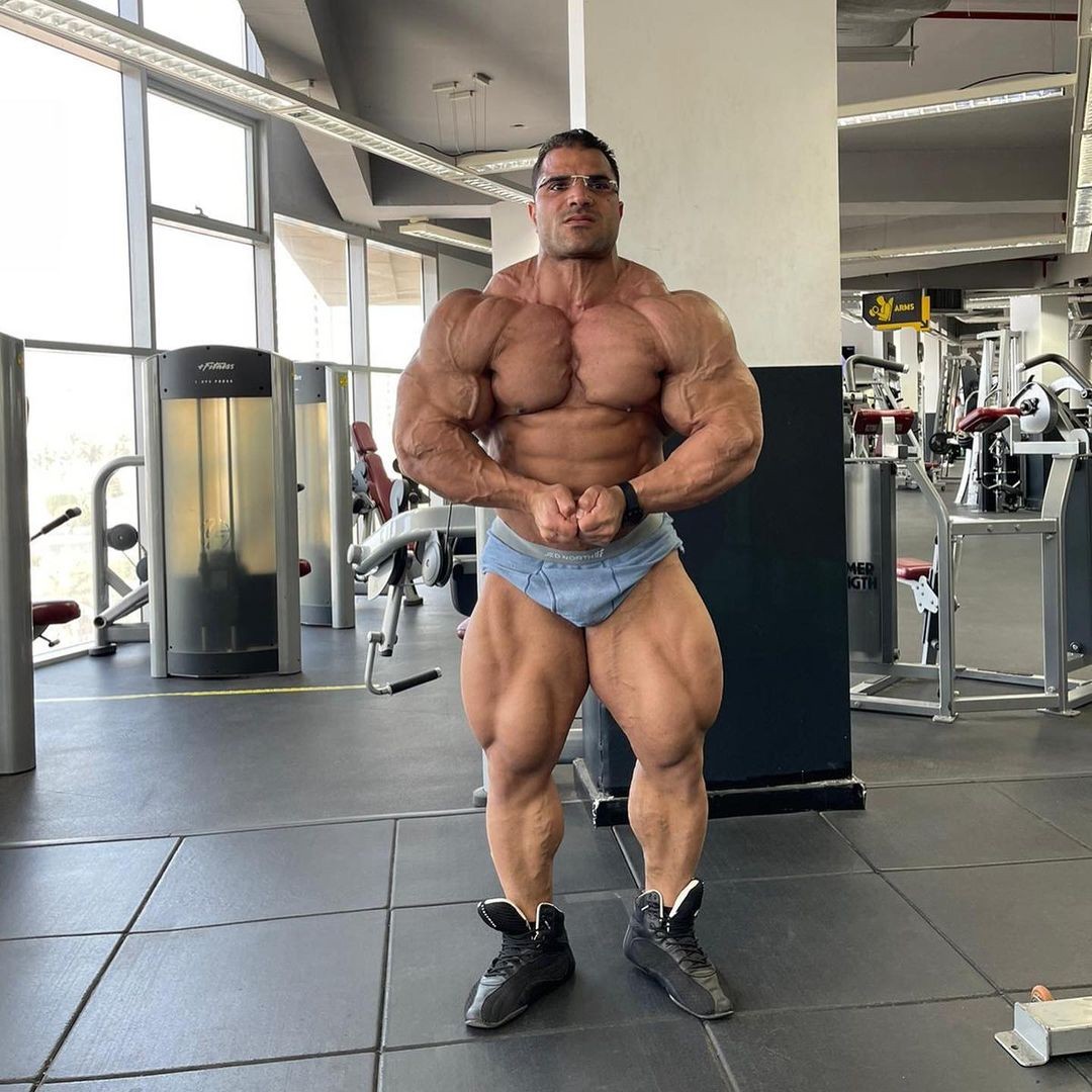 Hassan Mostafa
