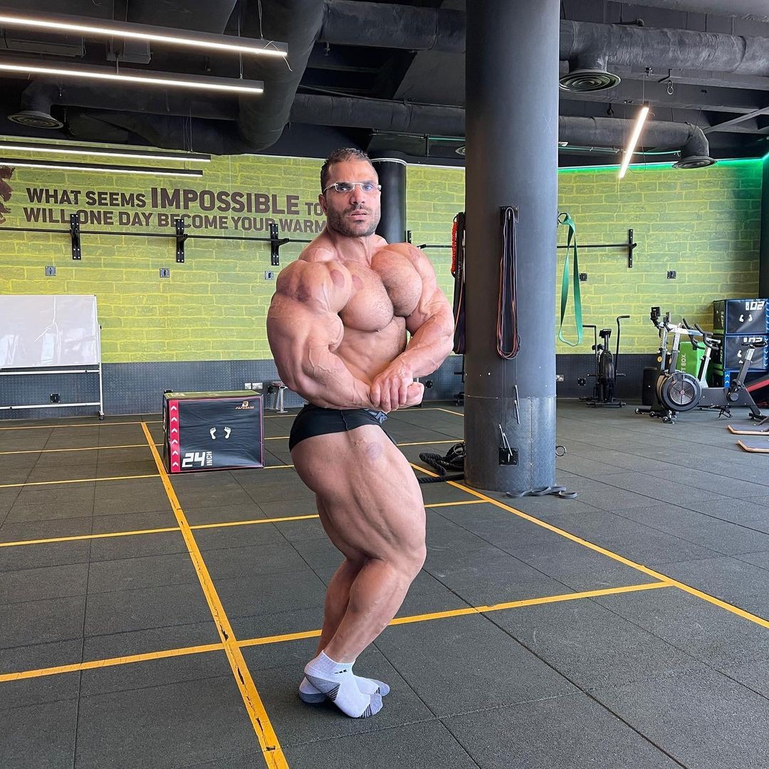 Hassan Mostafa