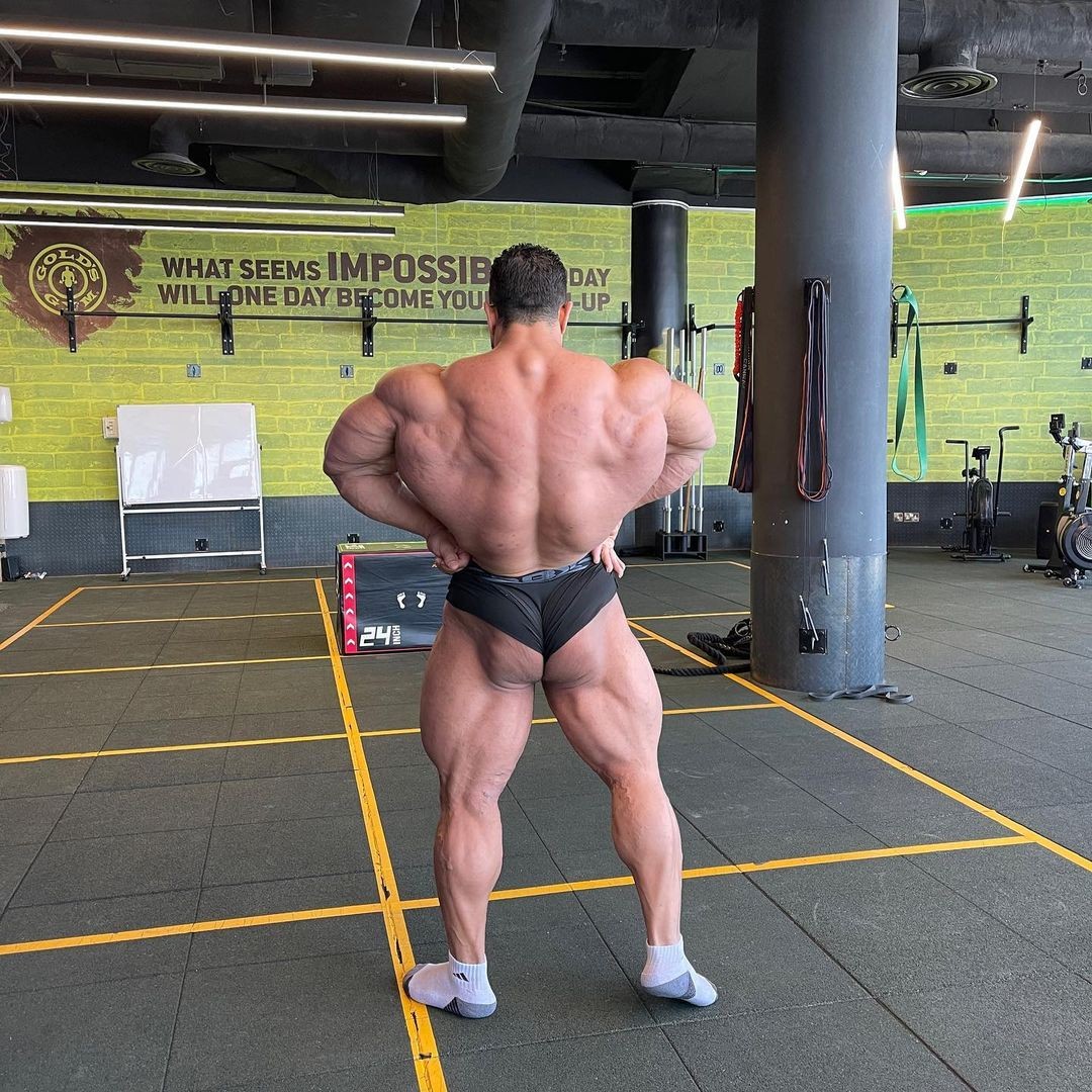 Hassan Mostafa