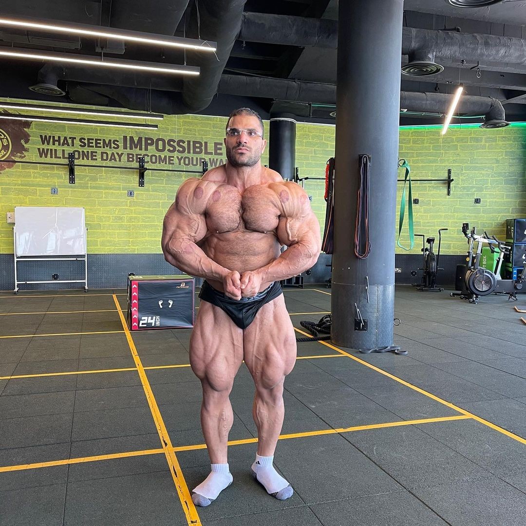 Hassan Mostafa