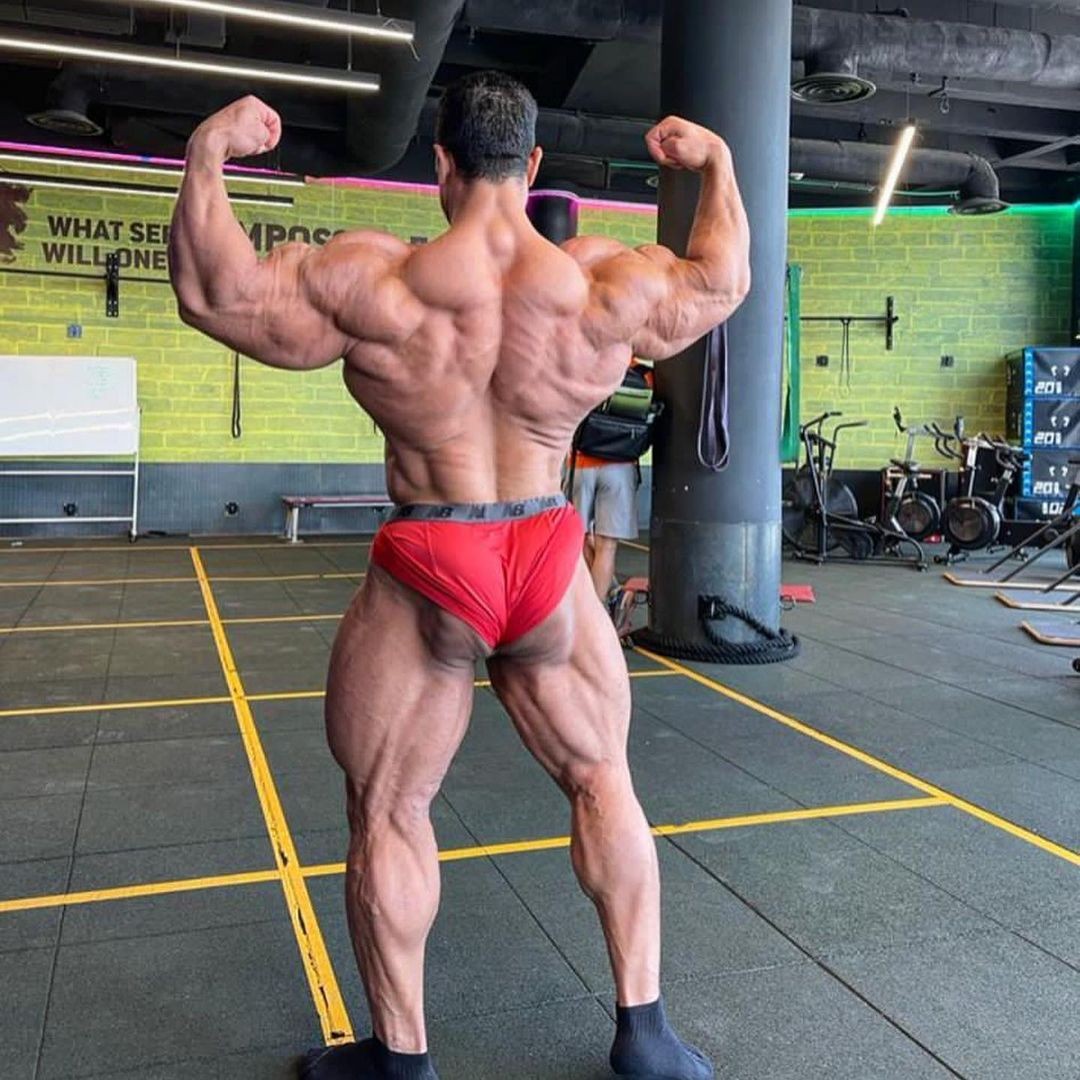 Hassan Mostafa