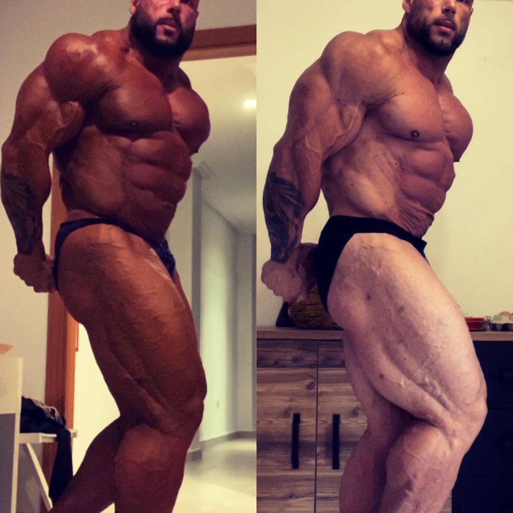 Morgan Aste