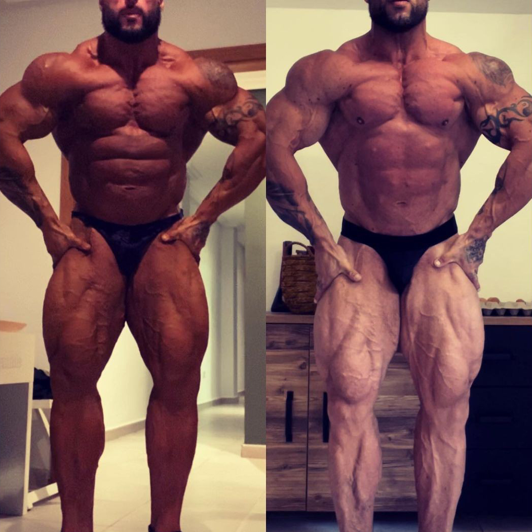 Morgan Aste