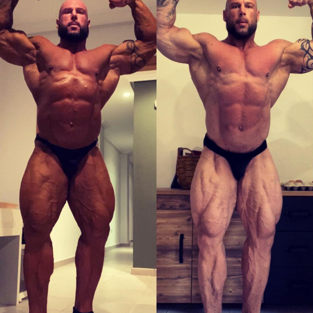 Morgan Aste