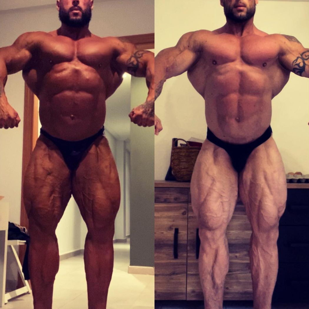 Morgan Aste