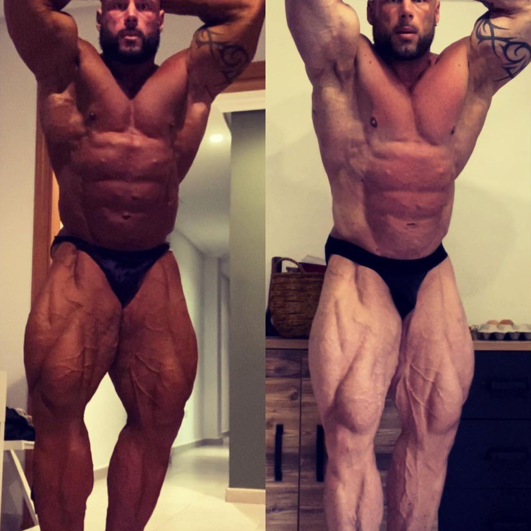 Morgan Aste