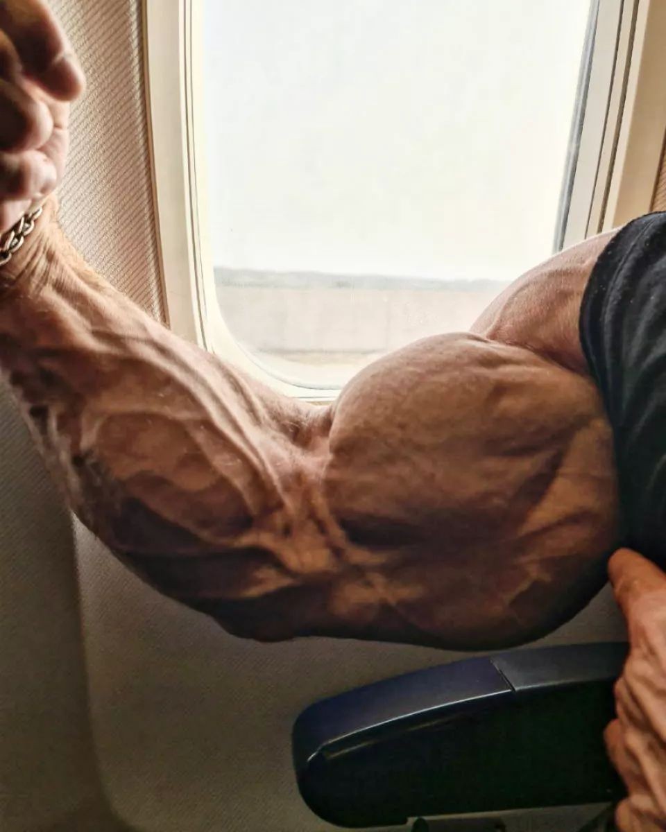 Daniel Sticco 