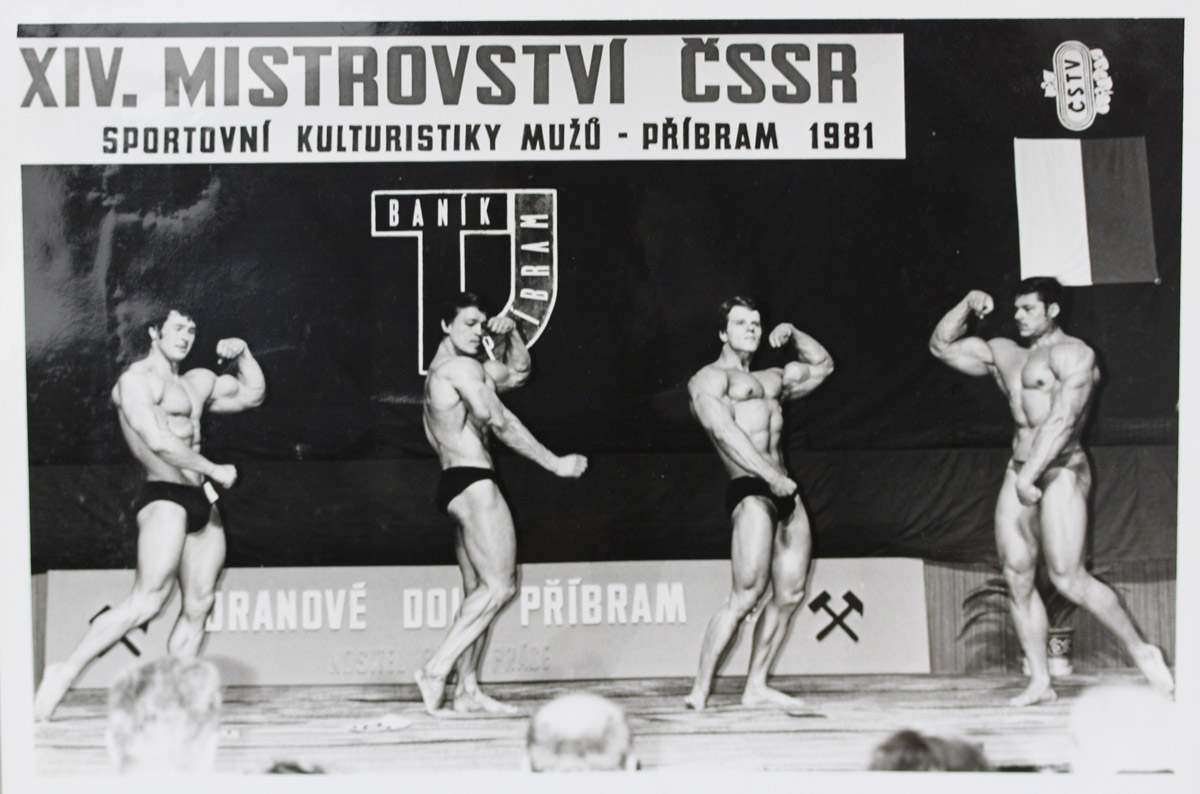 Mistrovstv� �SSR 1981