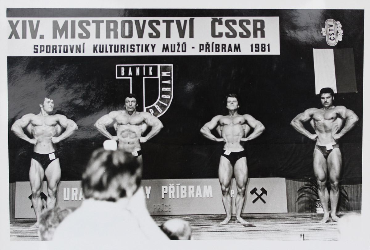 Mistrovstv� �SSR 1981