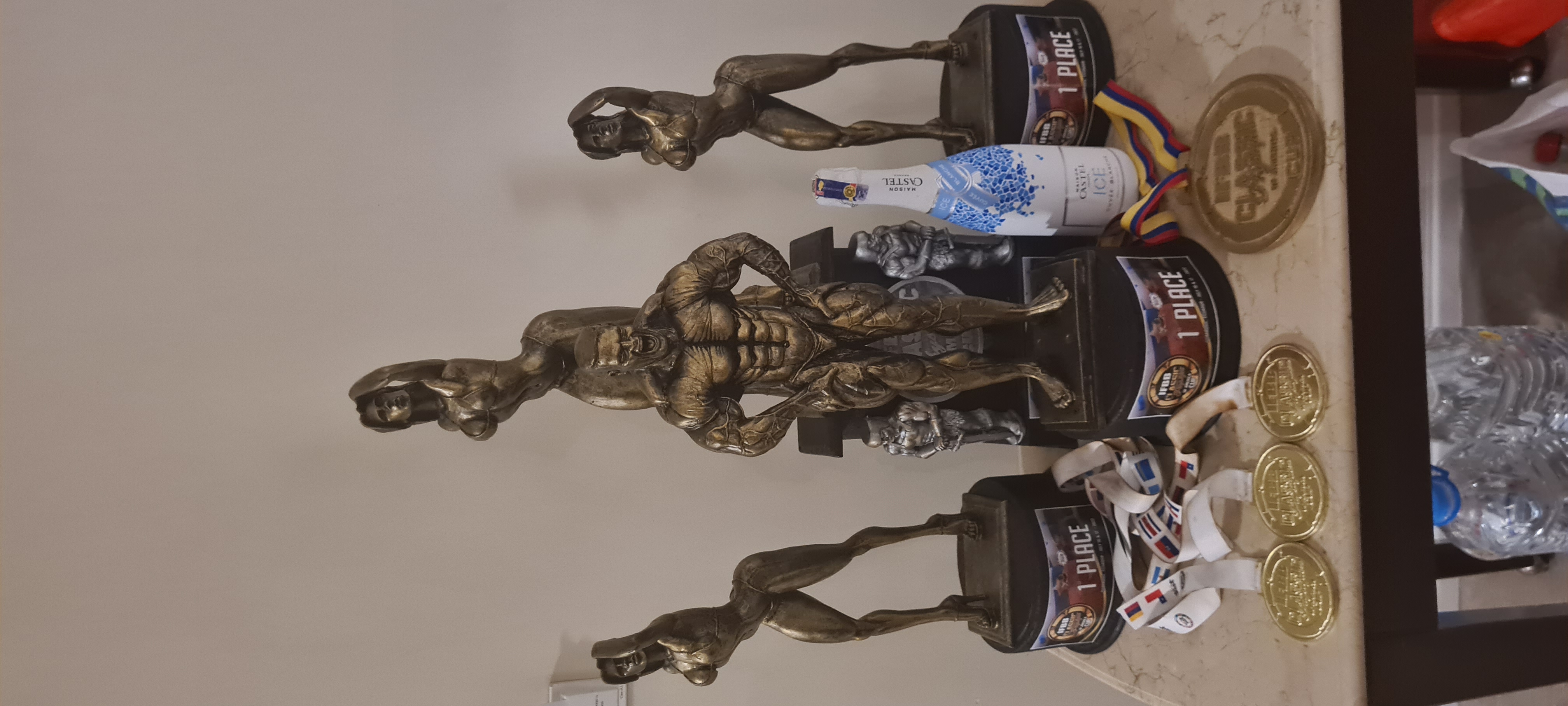 Trofeje man�el� Palovi�ov�ch z IFBB Classic Physique of America Cup 2022�