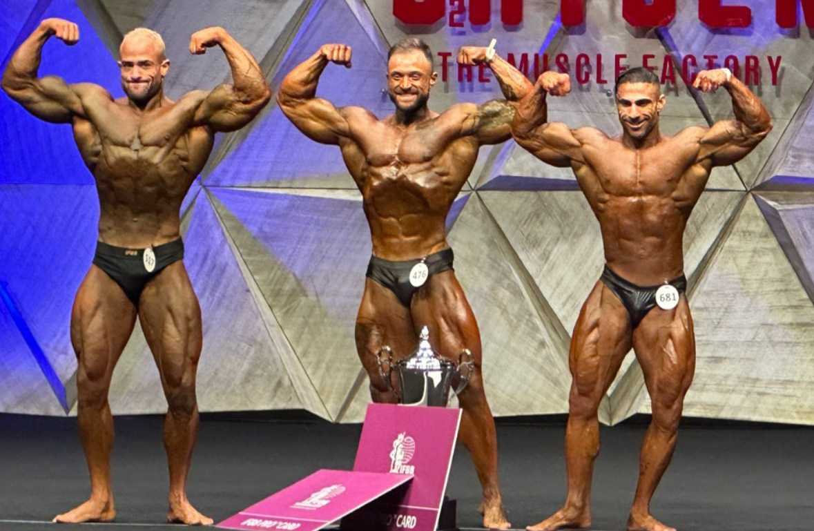 Ramadan Elsharkawy, Nikita Gorin, Mohsen Poorsaber�