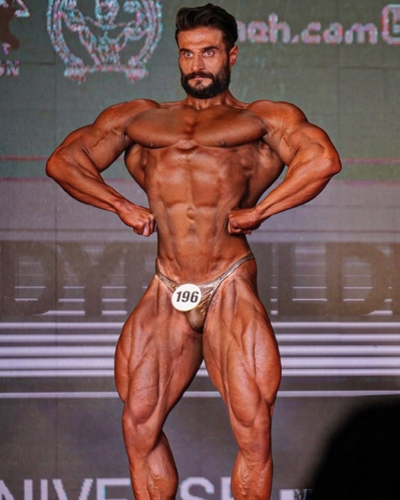 Amir Mahaei�