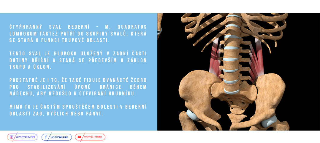 M. Quadratus lumborum - sval, kter� si zaslou�� pozornost a p��i 