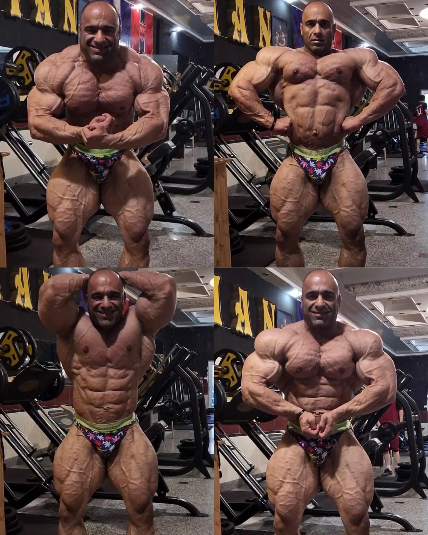 Morteza Mashayekh