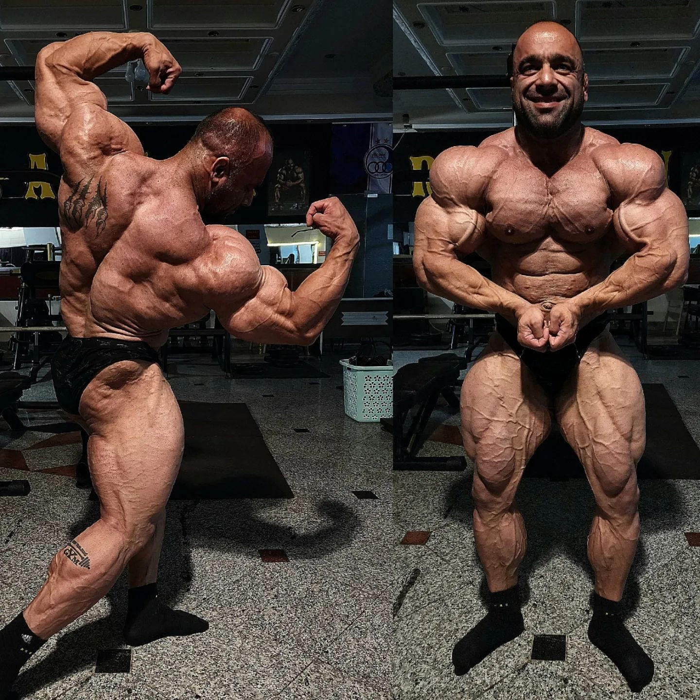 Morteza Mashayekh