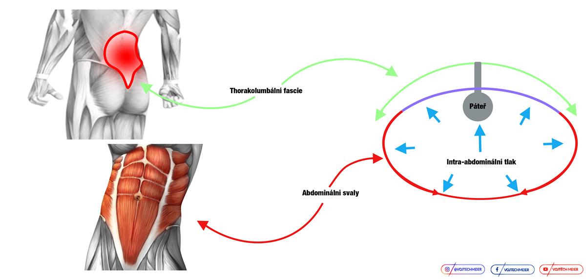 Mechanismus distribuce nitrob�i�n�ho tlaku
